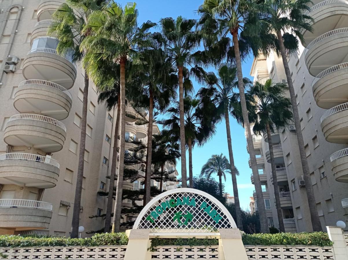 Tropicana Park Solo Familias Serviplaya 간디아 외부 사진